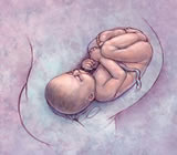 Obstetra e Obstetricia em Simões Filho